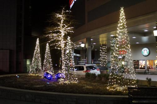 Embassy Suites20